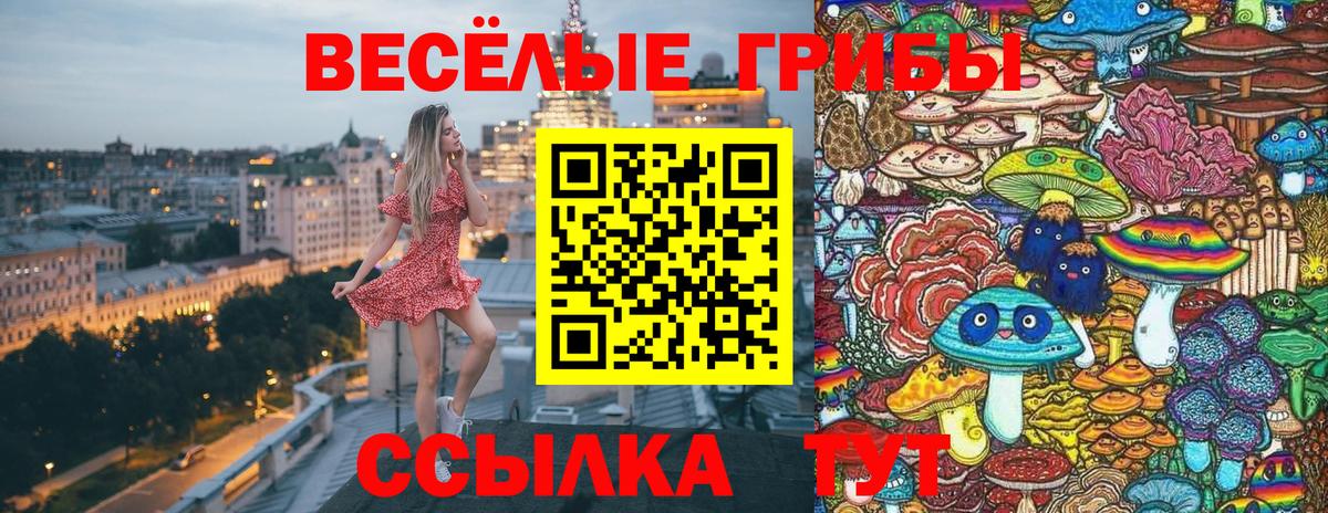 Урай  Галлюциногенные грибы MAGIC MUSHROOMS  Псилоцибиновые грибы GOLDEN TEACHER  Вход с VPN 