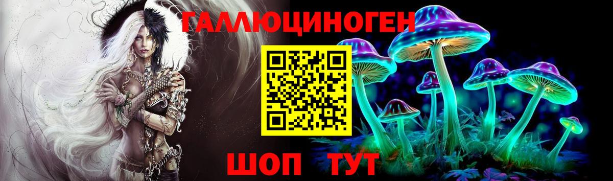 Галлюциногенные грибы Psilocybe Урай